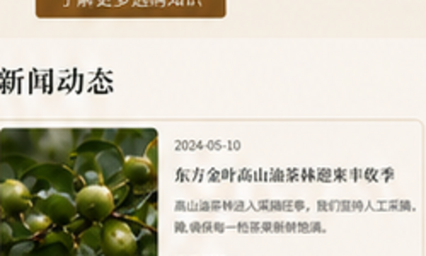 煎炒烹炸